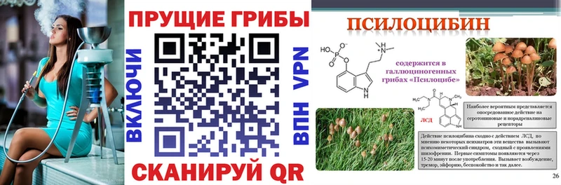 купить   Балашов  Псилоцибиновые грибы Magic Shrooms 