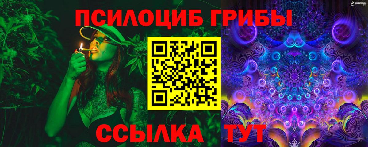 Галлюциногенные грибы MAGIC MUSHROOMS Балашов