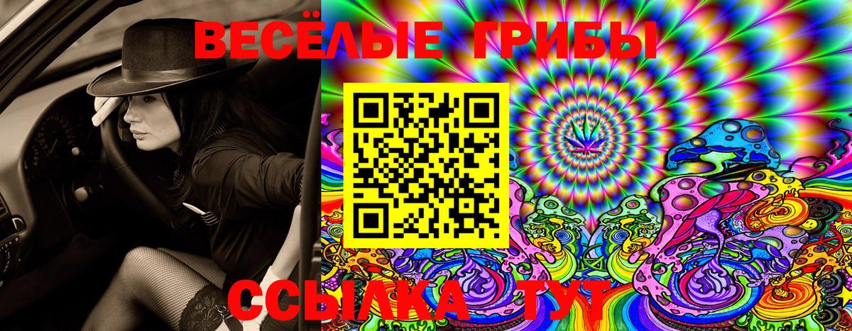 Балашов  Галлюциногенные грибы Cubensis  Псилоцибиновые грибы Magic Shrooms  даркнет сайт  Вход с VPN 